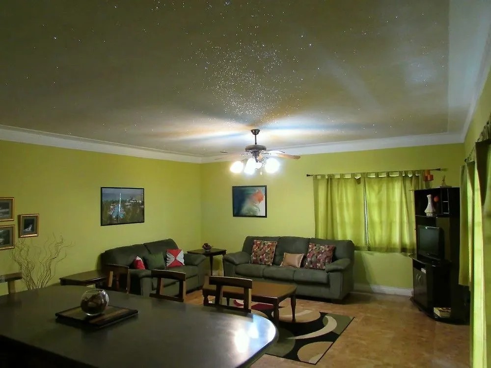 Centrally Located Guest Apartments 金斯敦 酒店